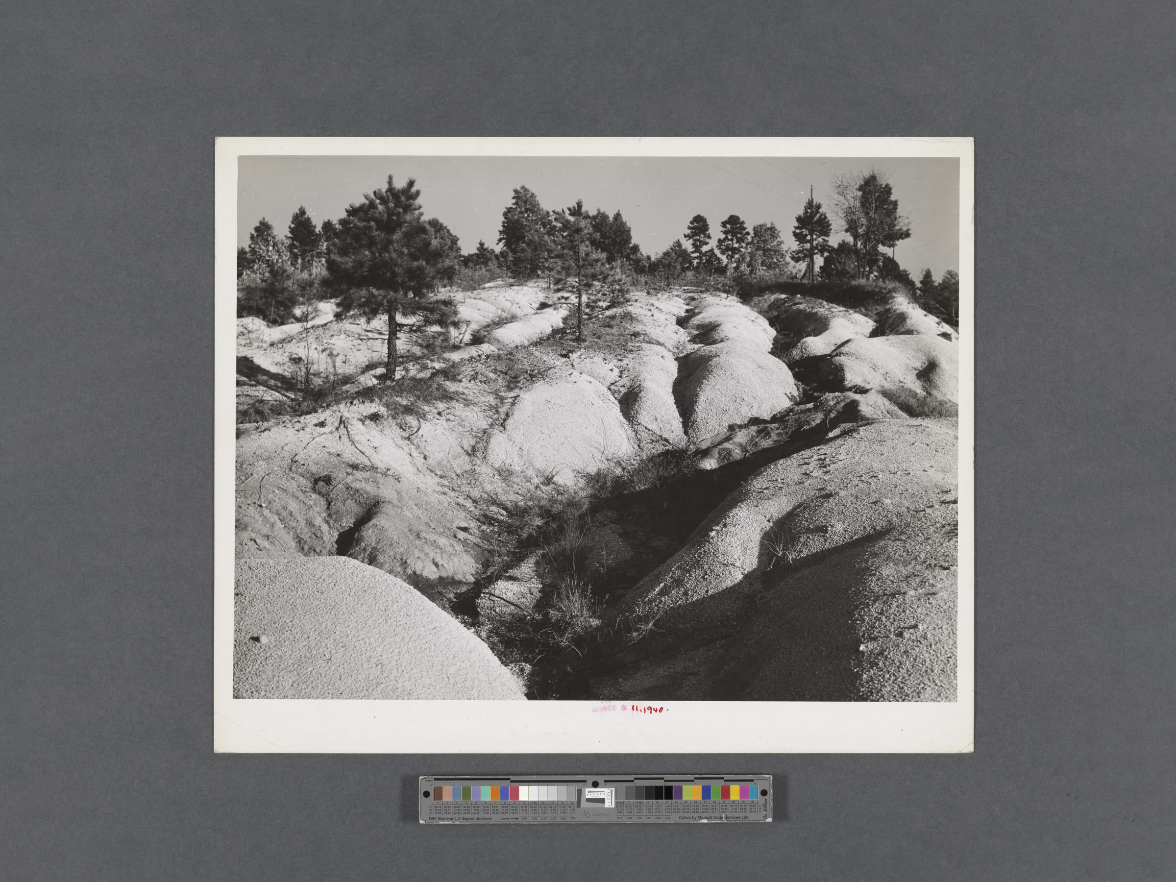 Archival object capture with object-level color target below the image.